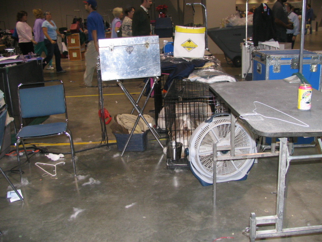 dog show 031.jpg