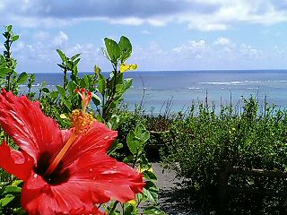 沖縄200504