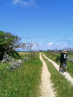 沖縄200506