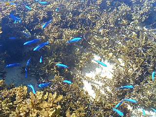 沖縄200508