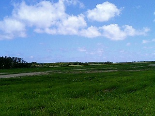 沖縄200512