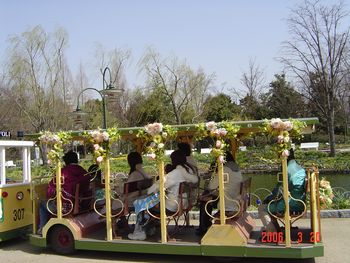 チボリ公園のバス