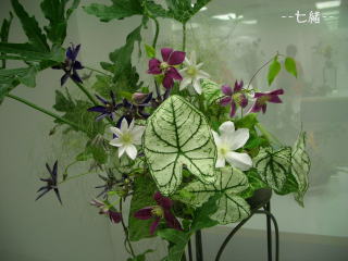 華道展４