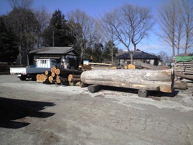 ヒノキ　スギ　ケヤキ丸太