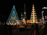 20080101e.jpg