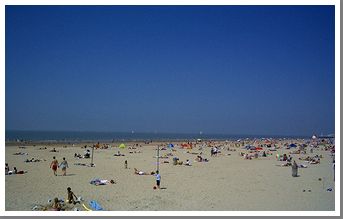 海