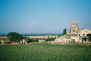 shu-FH020003.jpg