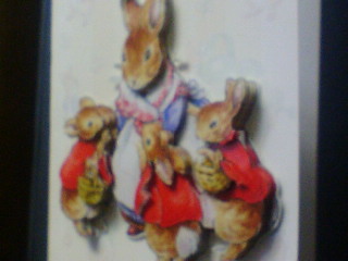 peter rabbit.jpg