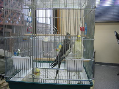 200601154.jpg