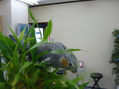 200601155.jpg