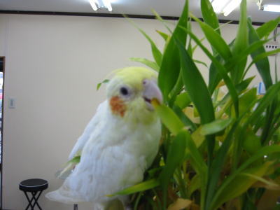 200601156.jpg