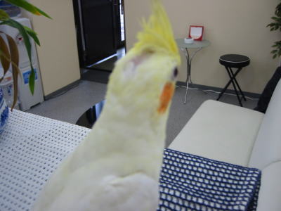 200601157.jpg