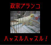 200601158.jpg