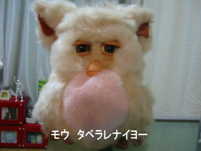 200601143.jpg