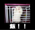 200601192.jpg