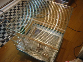 20060110