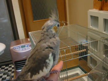 200601104