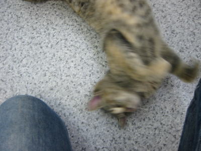 200603102.jpg