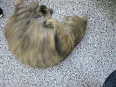 200603103.jpg