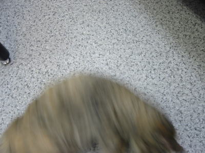 200603104.jpg