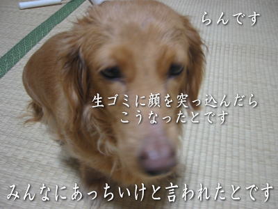 200603161.jpg