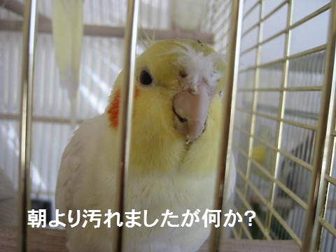 汚れてしまった政宗その２