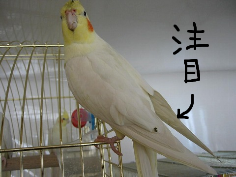 こんな形で仕返しされるとは