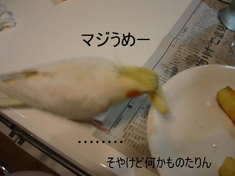政宗とリンゴ