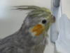 200601152.jpg