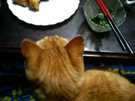 とらちん。