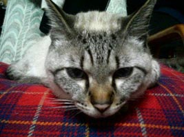 忘れてねぇだろうなぁ。