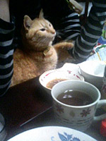 いやしんぼ。