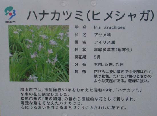 花かつみ説明看板