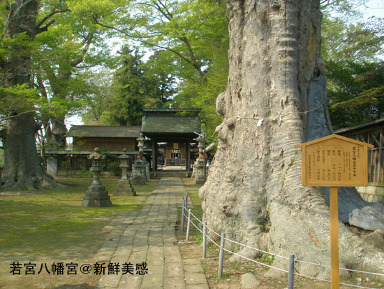 若宮八幡宮