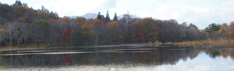 観音沼森林公園　8.