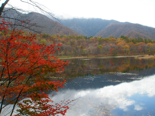 観音沼森林公園　１.