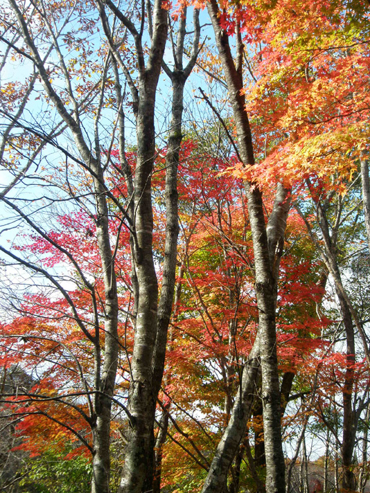 観音沼森林公園　２