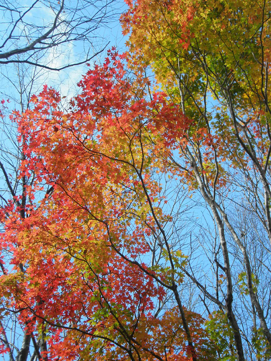 観音沼森林公園　３