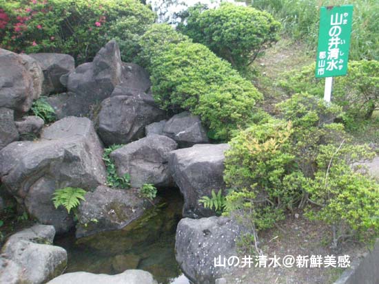 山の井清水