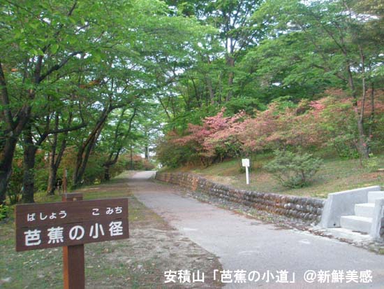 安積山の芭蕉小道