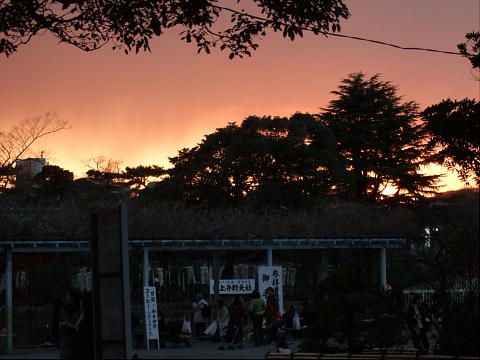 夕焼け.JPG