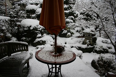 IMG_3561.jpg