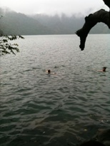 swimming.jpg