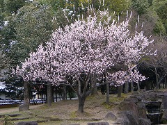 二月堂240-2