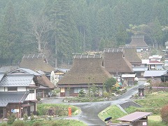 美山の春240-5