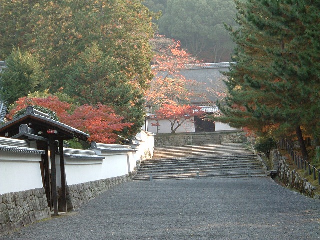 南禅寺６４０　６枚　１１