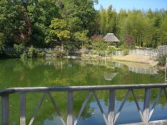 水景園240.2(8)