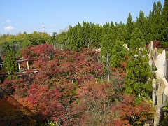 水景園240/6(25）