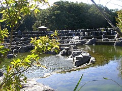 水景園240-1