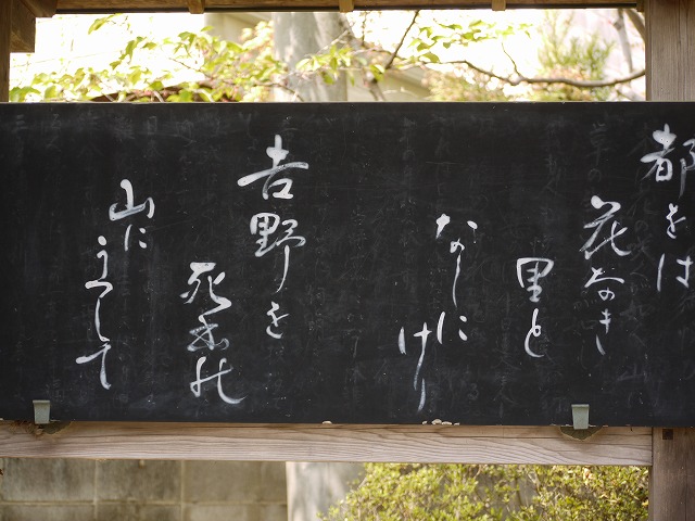 吉野太夫花供養640.5